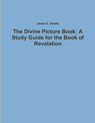 bokomslag Divine Picture Book