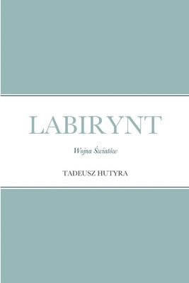 bokomslag Labirynt