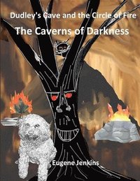 bokomslag Dudley's Cave and the Circle of Fire: the Caverns of Darkness Book One