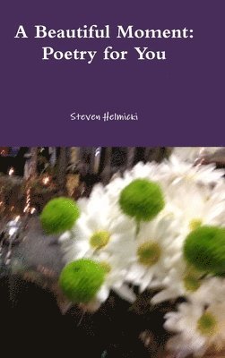 Steven Helmicki - Beautiful Moment: Poetry for You, Inbunden