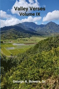 bokomslag Valley Verses Volume IX