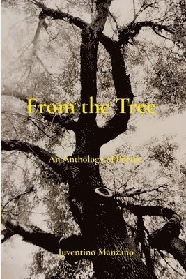 Juventino Manzano - From the Tree, Häftad