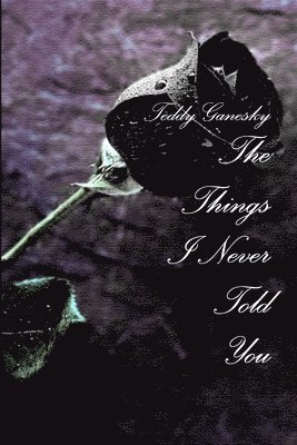 bokomslag Things I Never Told You