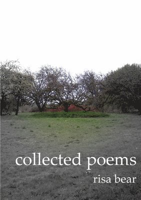 bokomslag Collected Poems