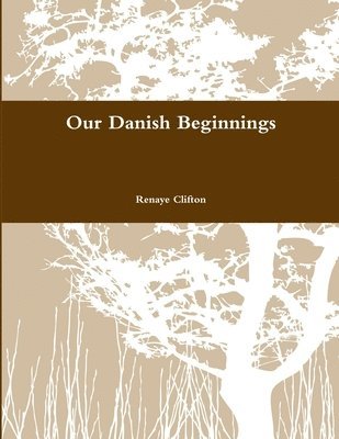 bokomslag Our Danish Beginnings