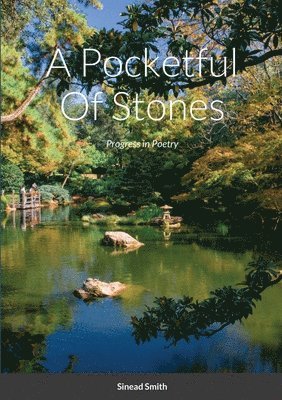 bokomslag Pocketful Of Stones
