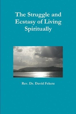 bokomslag Struggle and Ecstasy of Living Spiritually