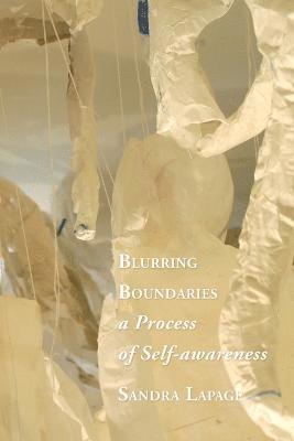 bokomslag Blurring Boundaries