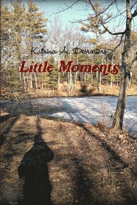 Little Moments 1