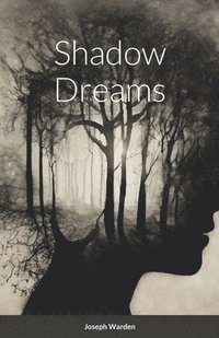 bokomslag Shadow Dreams