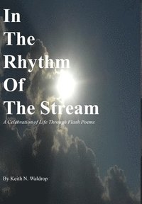 bokomslag In The Rhythm Of The Stream
