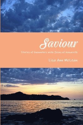 bokomslag Saviour - Stories of Encounters with Jesus of Nazareth