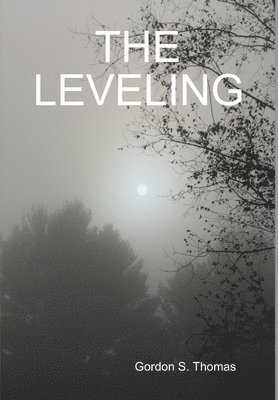 bokomslag The Leveling