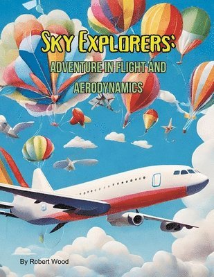 bokomslag Sky Explorers