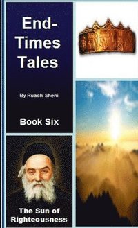bokomslag Sun of Righteousness - An End-Times Tale