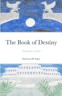 bokomslag The Book of Destiny