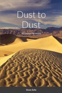 bokomslag Dust to Dust