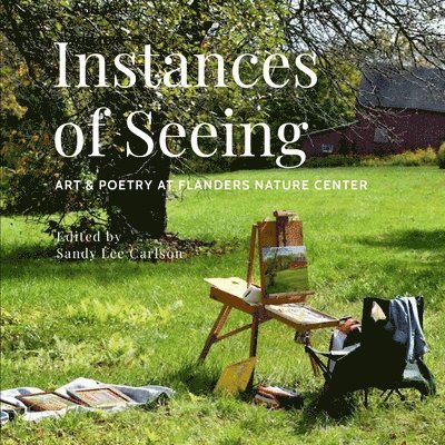 Instances of Seeing