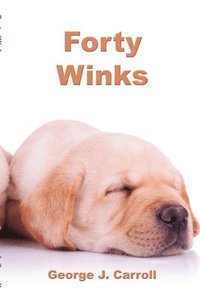 bokomslag Forty Winks