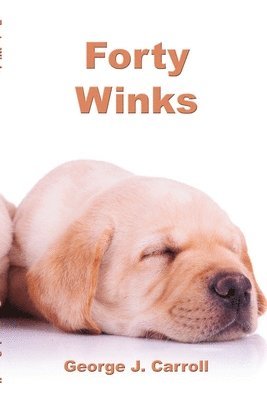 bokomslag Forty Winks