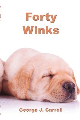 Forty Winks