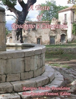 bokomslag Taste of Roscigno e Campania II
