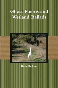 bokomslag Ghost Poems and Wetland Ballads