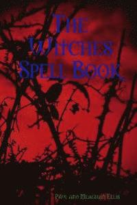 bokomslag Witches Spell Book