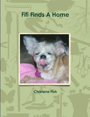 bokomslag Fifi Finds A Home