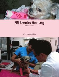 bokomslag Fifi Breaks Her Leg