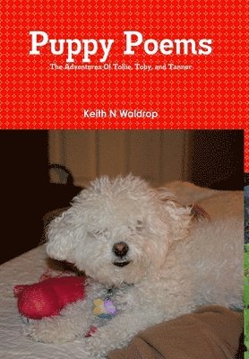 Puppy Poems 1