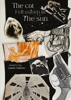Laszlo Katona - cat fell asleep in the sun, Häftad