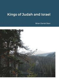 bokomslag Kings of Judah and Israel