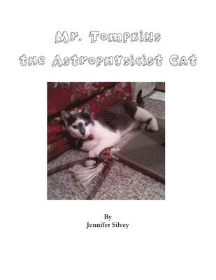 Jennifer Silvey - Mr. Tompkins the Astrophysicist Cat, Häftad