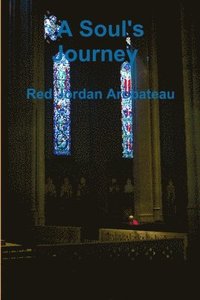bokomslag Soul's Journey --1