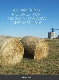 bokomslag Road Trip in Pictures from Georgia to Alaska and Back 2016