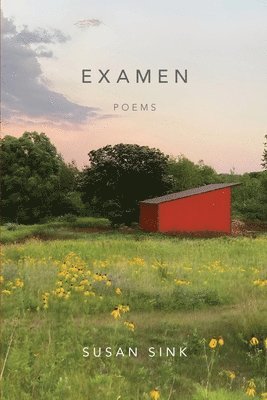 Susan Sink - Examen, Häftad