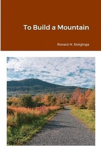 bokomslag To Build a Mountain