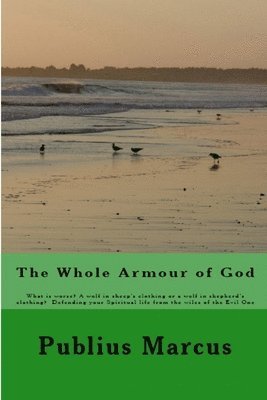The Whole Armour of God 1