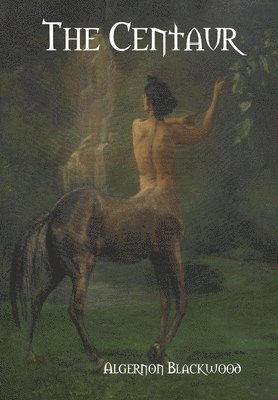 bokomslag The Centaur