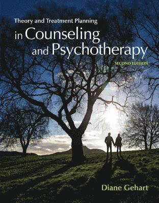 Diane Gehart - Theory and Treatment Planning in Counseling and Psychotherapy, Häftad