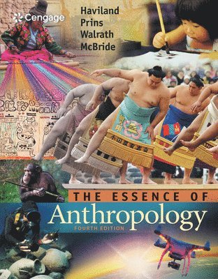 bokomslag Essence of Anthropology
