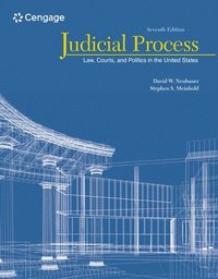 bokomslag Judicial Process