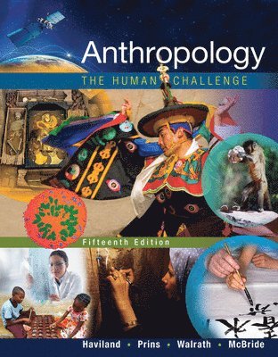 Anthropology 1