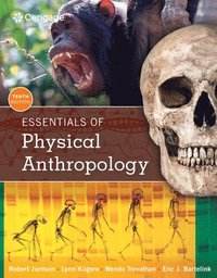 bokomslag Essentials of Physical Anthropology