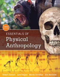 bokomslag Essentials of Physical Anthropology