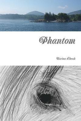 Phantom 1