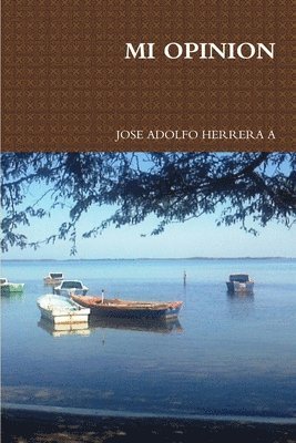 JOSE ADOLFO HERRERA A, Jose Adolfo Herrera a., Jose Adolfo Herrera A - Mi Opinion, Häftad