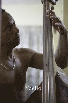 bokomslag Ydelio