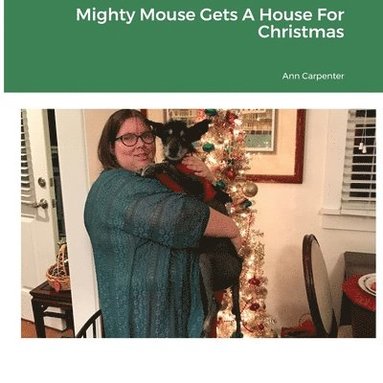 bokomslag Mighty Mouse Gets A House For Christmas